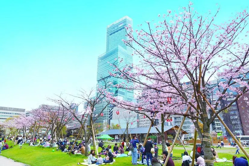 通天閣・天王寺一つ駅・最大10名・Wifi完備・一戸建団体に人気 Βίλα Οσάκα